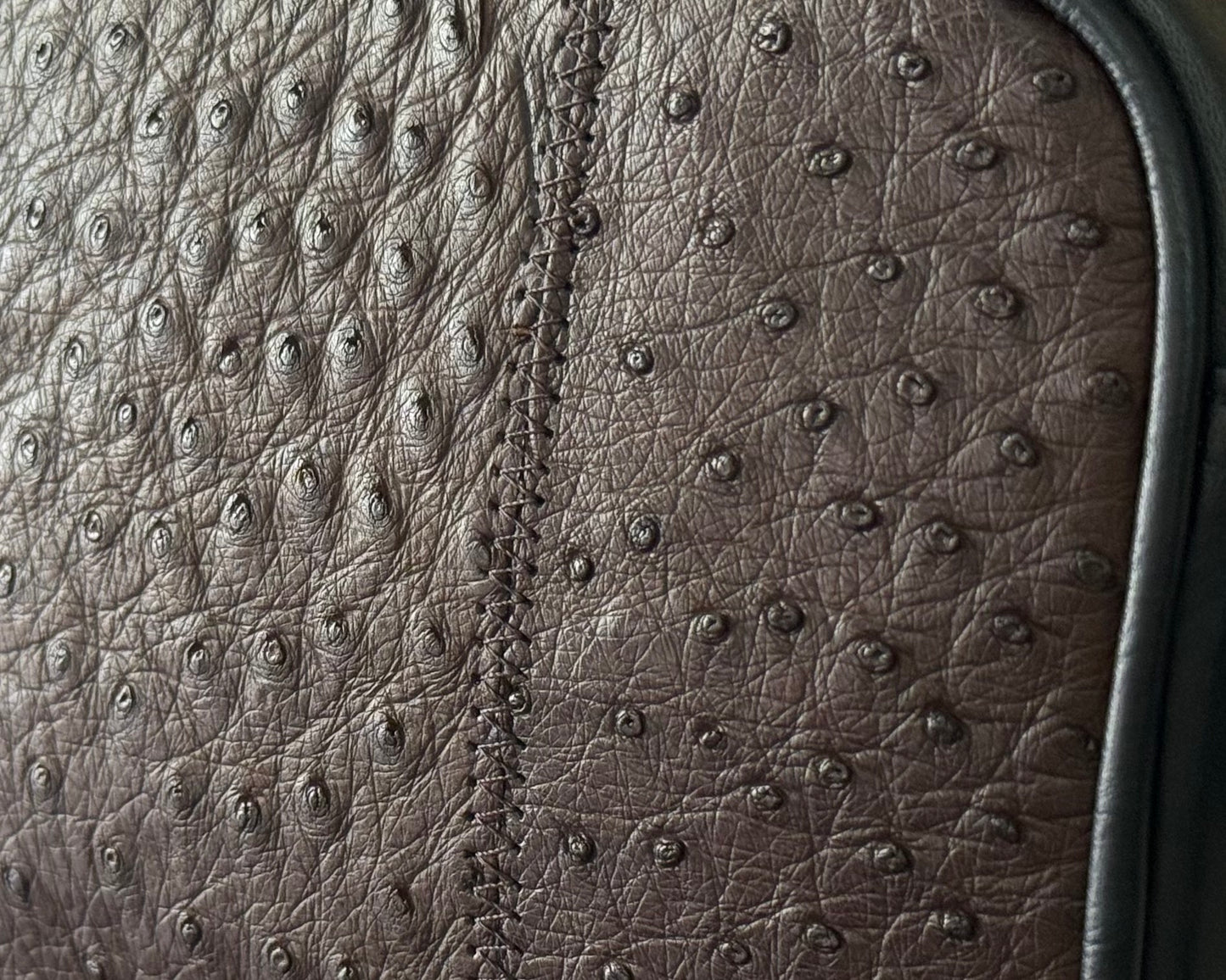 BANDOLERA AVESTRUZ