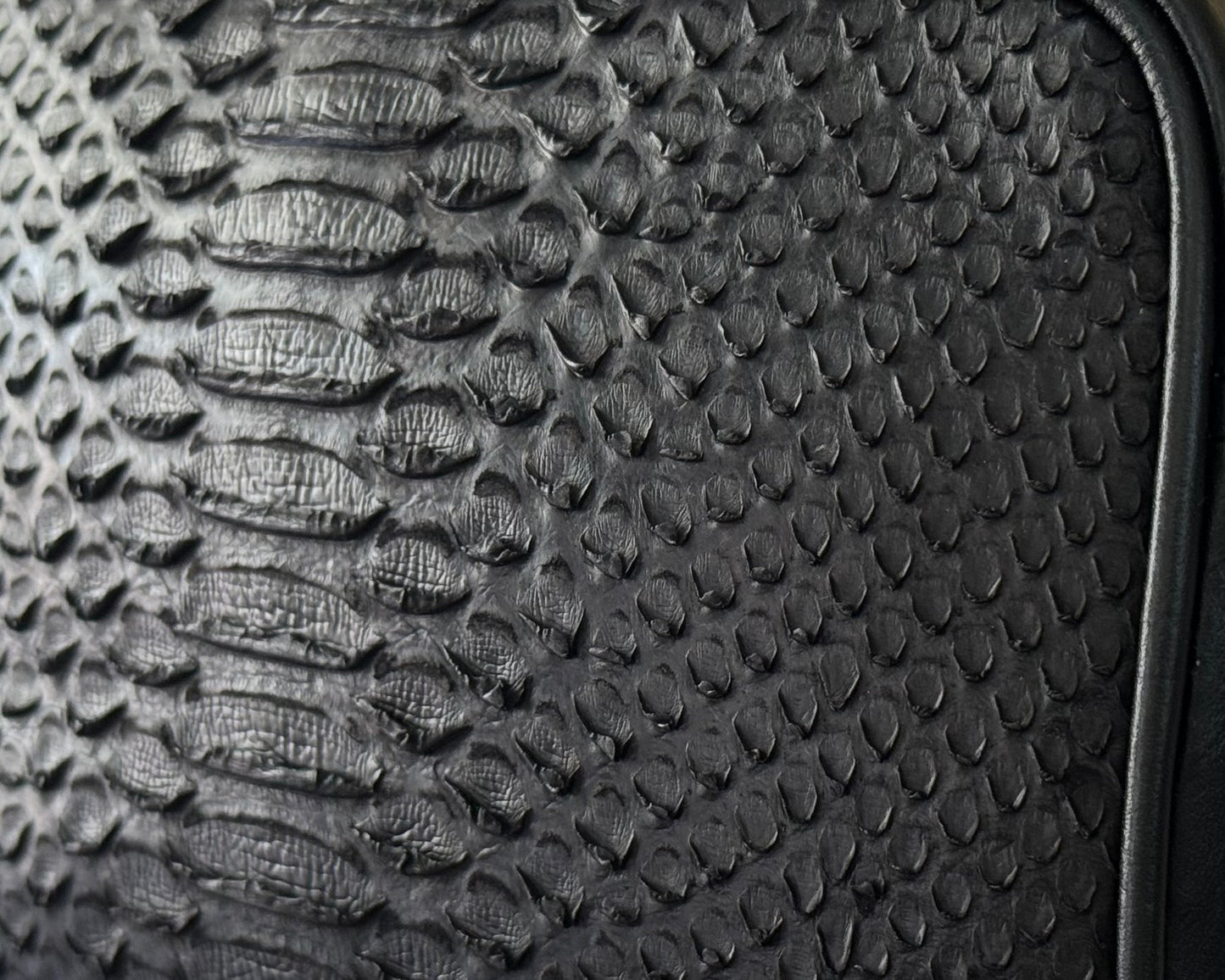 BANDOLERA VÍBORA NEGRO